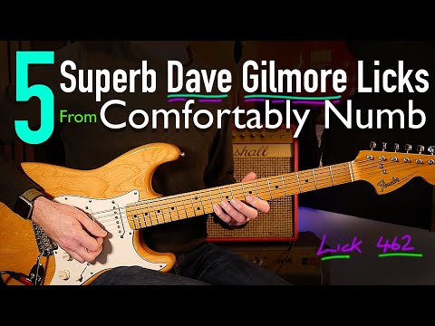 5 David Gilmour Licks You Need In Your Life - Lick Friday Week 462