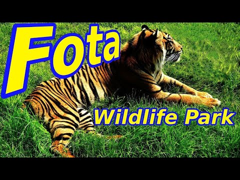 image-What is the name of the park in Cork?