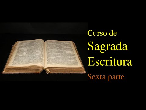 228 Curso de Sagrada Escritura: escritos apostólicos
