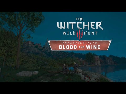 The Witcher 3 (ps5) pt47