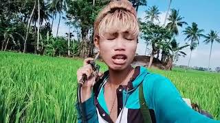 Download lagu Ratu magais sidrap mp3