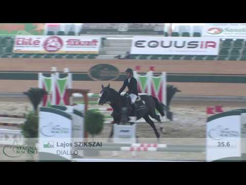 Diallo (Diarado x Casall) 2012