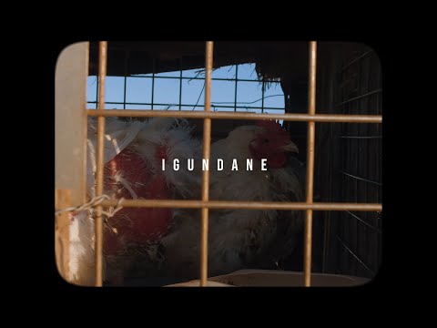 Lastee - Igundane (Official Visualizer)