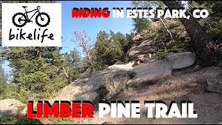 Limber Pine Trail