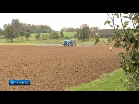 Hochverrat: Landwirtschaftsminister Schmidt – Glyphosat-Ja war geplant (Tagesschau 29.11.2017)