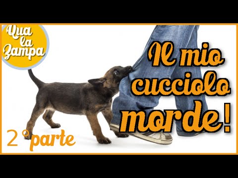 Benda sul giunto di polso 102 MWR Dorsopatie sindromi della colonna vertebrale cervicale
