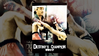 Destiny's Champion