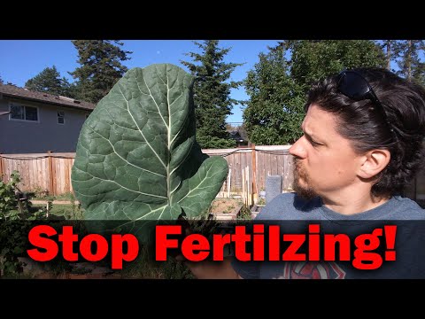 Seaweed Fertilizer 4 Easy Ways To Amend Your Garden With Seaweed