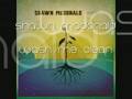 Shawn McDonald - Wash Me Clean