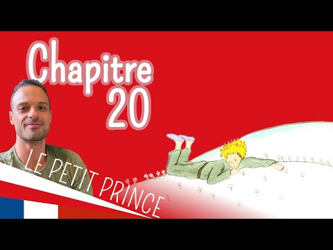 Le Petit prince 20 (French - Full Text + Audio)