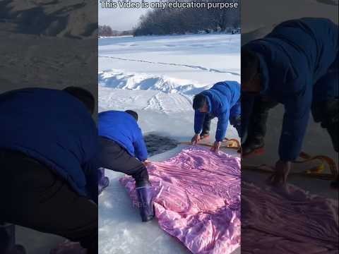 The black witch kept a fish in a box 🐥 #DuckRescue #CuteAnimal #AnimalRescue
