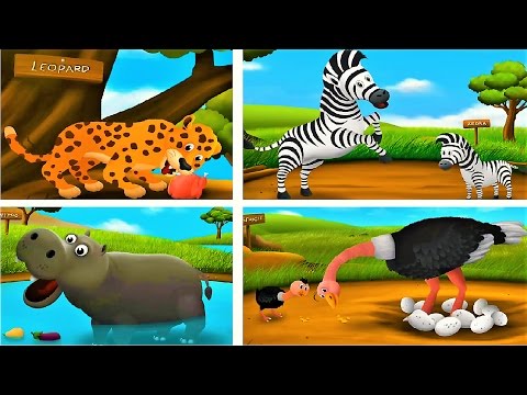 Children Learn animals | Feed the animals | Educational Games