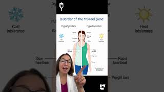 🩺 Cathy Explains - Hypothyroidism vs Hyperthyroidism: Medical Surgical SHORT | @LevelUpRN