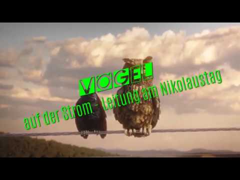 Vögel auf der Strom Leitung heute ist Nikolaus Tag