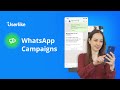 WhatsApp Campaigns | Your WhatsApp newsletter tool