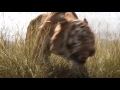 El Libro De La Selva Disney Trailer Español 2016