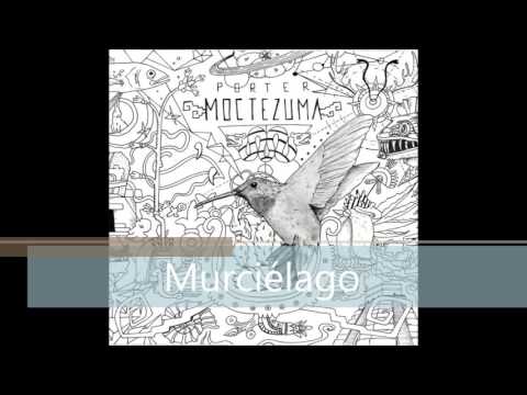 Porter - Murciélago
