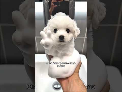 Kad spavas samo 3 sata