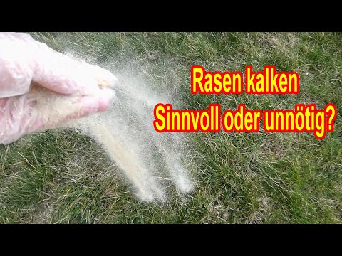 Rasen kalken – Sinnvoll oder unnötig? Warum & wann den Rasen kalken?