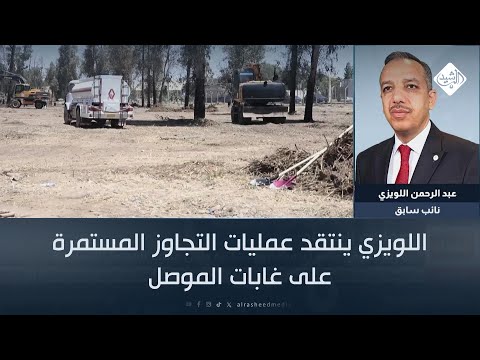 فيديو | اللويزي ينتقد عمليات التجاوز المستمرة على غابات الموصل