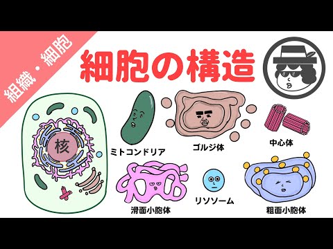 2009 トライベッカ映画祭でのピーター・ジェイコブソン.jpg