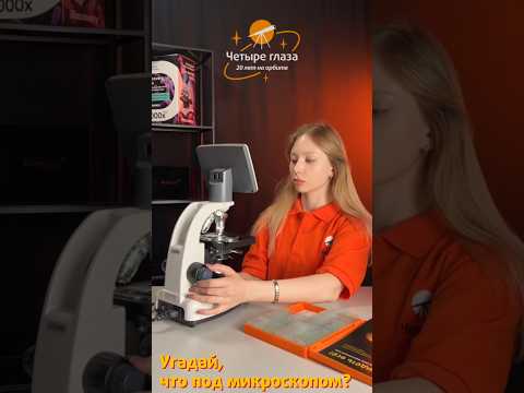 Сыграем в игру?