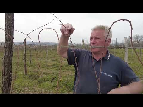 Agro karavan ep.222 - Ljubić - 10.04.2022.