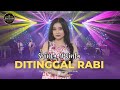 SHINTA ARSINTA - DITINGGAL RABI (OFFICIAL LIVE MUSIC)