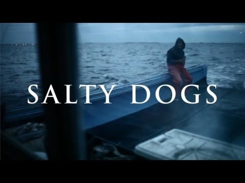 Salty Dogs