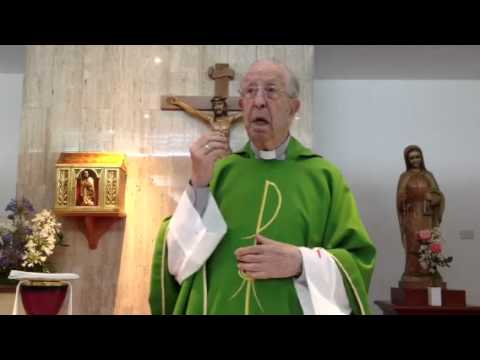 Homilía 26-7-2014