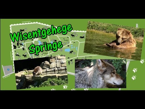 Wisentgehege Springe - Rundgang durch das 90 Hektar große Gelände