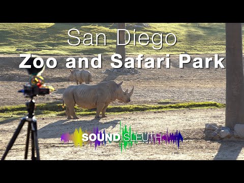 San Diego Zoo and Safari Park Sounds