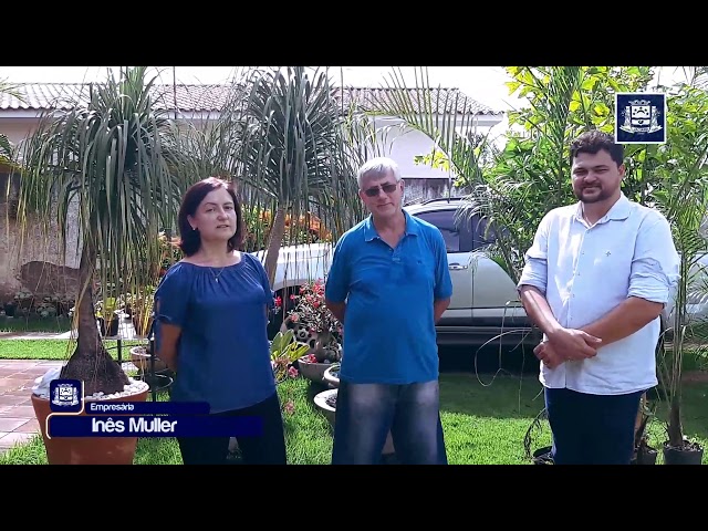Prefeitura recebe doao de mais de 200 mudas de palmeiras