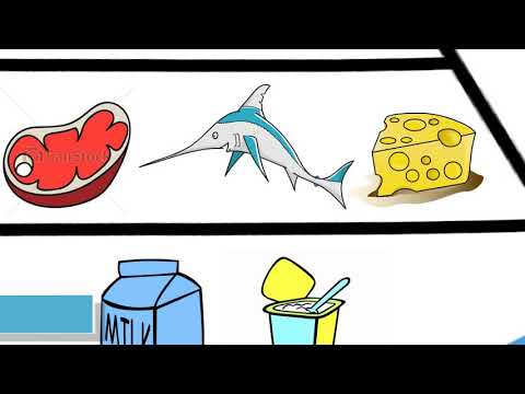 download lagu mp3 mp4 La Piramide Alimentare, download lagu La Piramide Alimentare gratis, unduh video klip La Piramide Alimentare