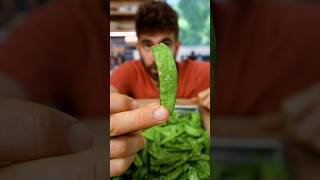 Grow & Preserve Peas with Freeze-Drying — Full Guide & Transcript