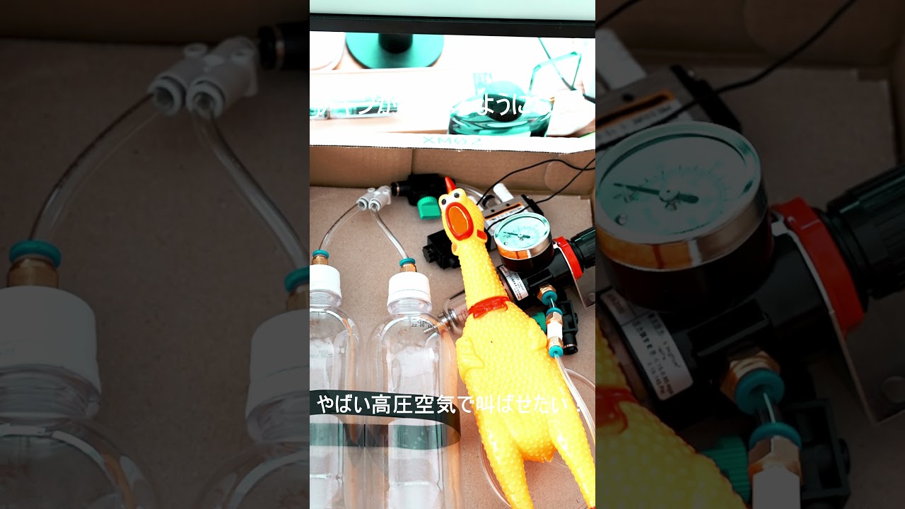 チキンがしゃべるようになっただと？なら高圧空気で喋らせたいw