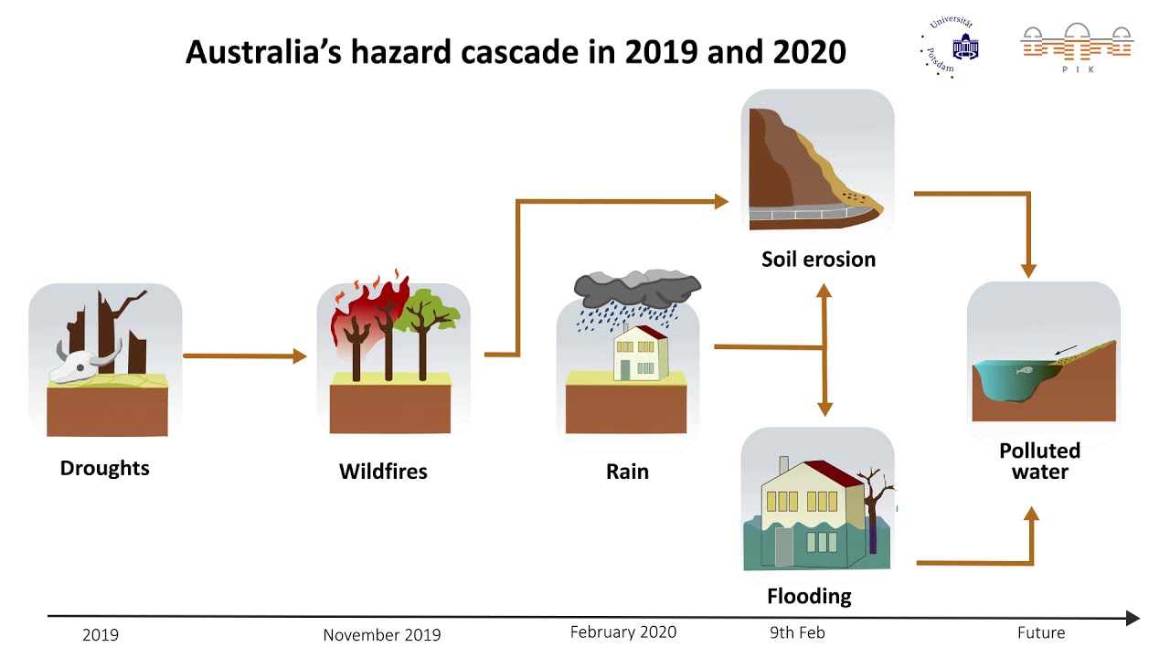 Cascading effects of wildfires