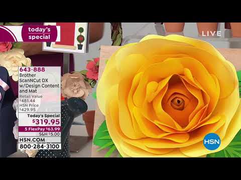 HSN | Lunch Rush with Michelle Yarn 03.05.2019 - 12 PM