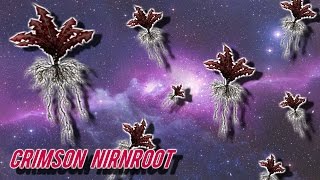 Skyrim All Crimson Nirnroot Location Guide!