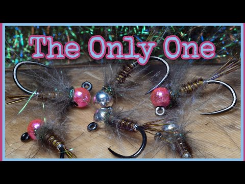 The One (If i had to choose one fly, this would be the one, Pheasant tail Nymph)