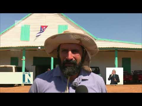 Innovación solar impulsa la siembra del tabaco en Pinar del Río