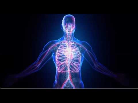 2016 12 22 PM Public Teaching in French - Enseignements publics en français