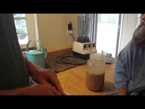 Dr. Freestone making Rejuvelac and fermented Essene Bread - Part 1