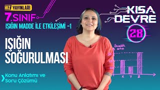 Işığın Soğurulması: 7. Sınıf Fen Bilimleri Işığın Madde ile Etkileşimi Konu Anlatımı #28