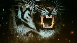 Download lagu story bahasa jawa cocok buat wa... #lidah lebih tajam dari pada silet mp3