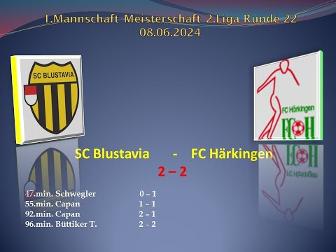 1.Mannschaft 2.Liga SC Blustavia - FC Härkingen