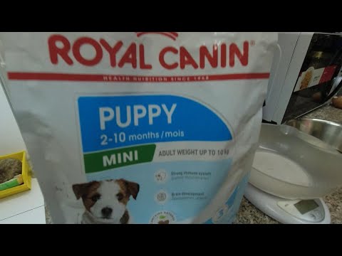 Feeding the Puppies with Royal Canin Puppy Mini