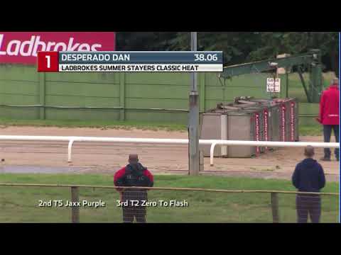 2020 LADBROKES STAYERS CLASSIC - HEAT 1 - T1 DESPERADO DAN