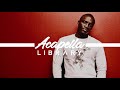 Akon Right Now Na Na Na Acapella Vocals Only