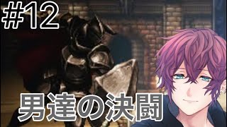 #12 決闘はみんなで闘うよ！【オクトパストラベラー】